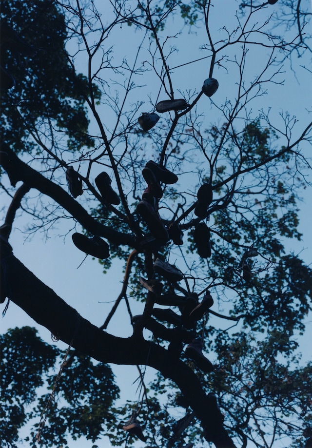 Between Your Eyes and Mine by Kaishui Yikai Liu