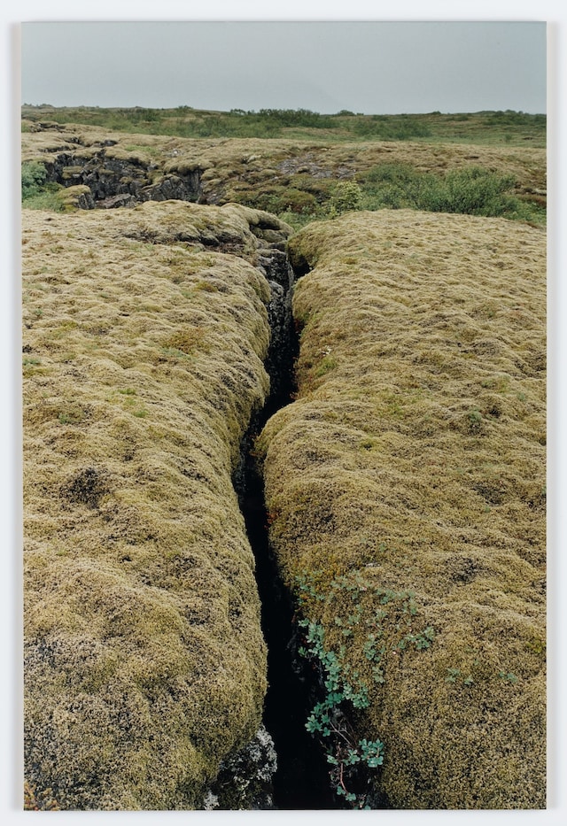 New Nordic: Cuisine, Aesthetics and Place