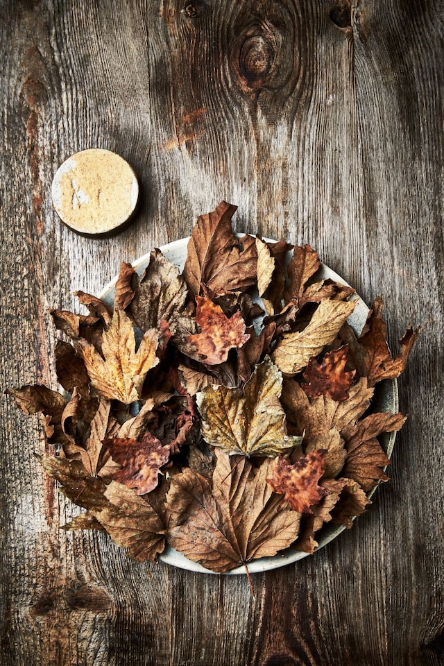 New Nordic: Cuisine, Aesthetics and Place