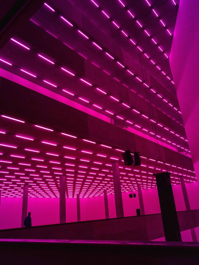 Bass by Steve McQueen