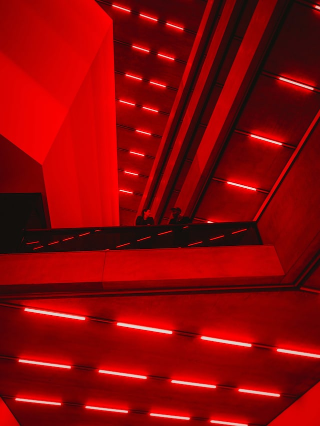 Bass by Steve McQueen