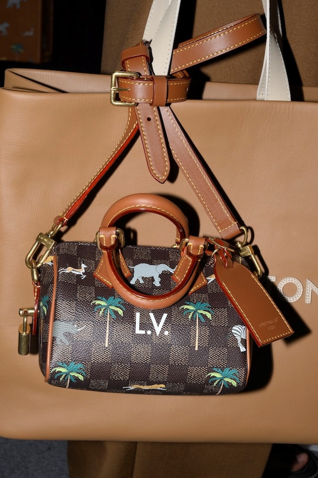 Louis Vuitton Spring/Summer 2026 Menswear 