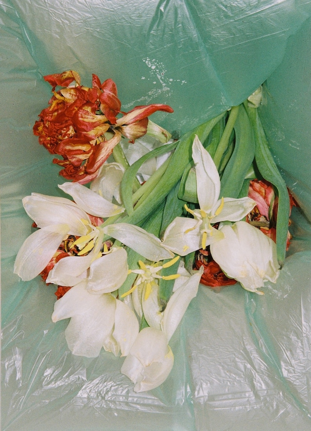 All the Love and None at the Same Time