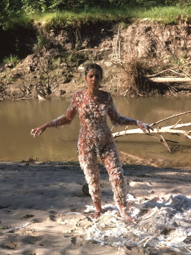 Ana Mendieta, 'Blood and Feathers', 1974