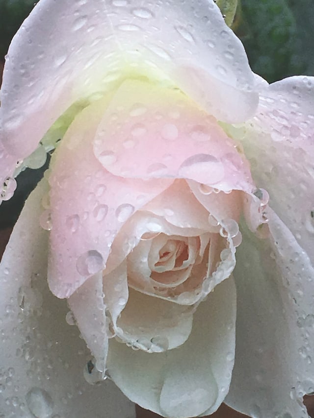 Lonley City by Jerry Hsu