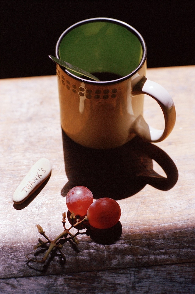 Thanks (Ibiza, 2008)