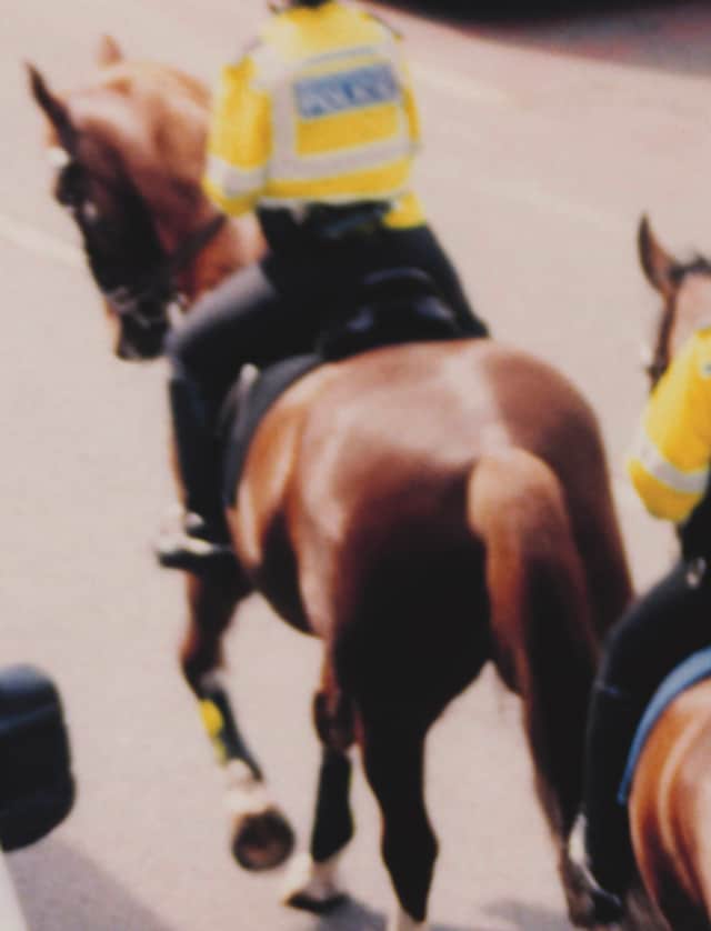 Windows by Gareth McConnell