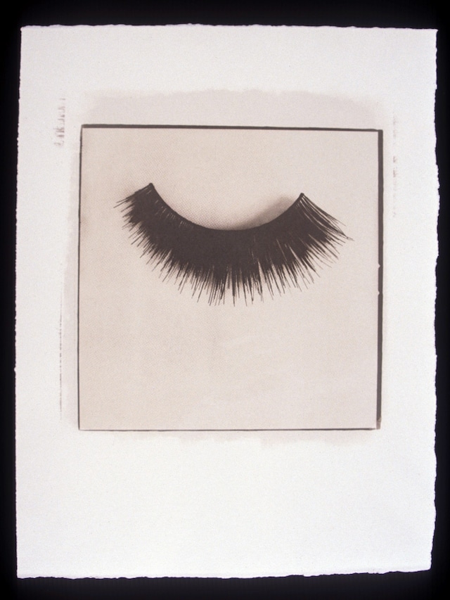 Catching Flies with Honey by Joy Gregory 