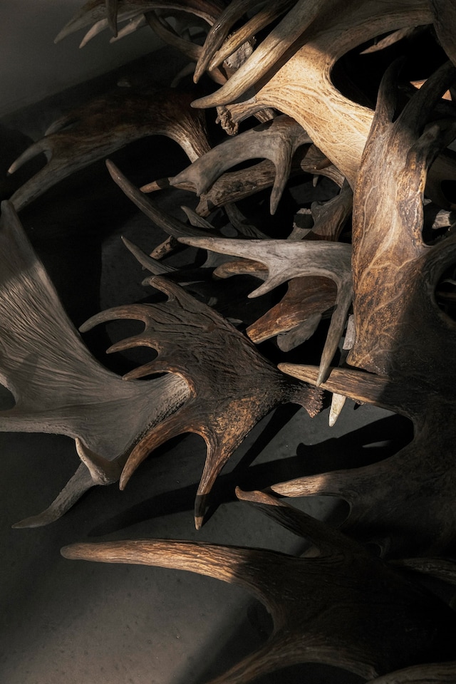 Rust Never Sleeps, Rick Owens Furniture, Mich&#232;le Lamy