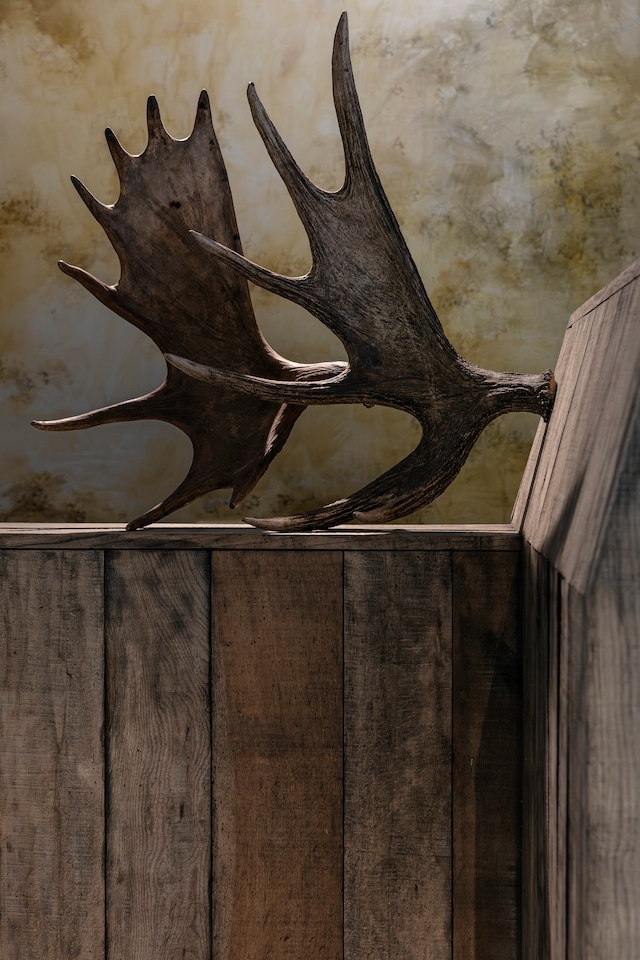 Rust Never Sleeps, Rick Owens Furniture, Mich&#232;le Lamy