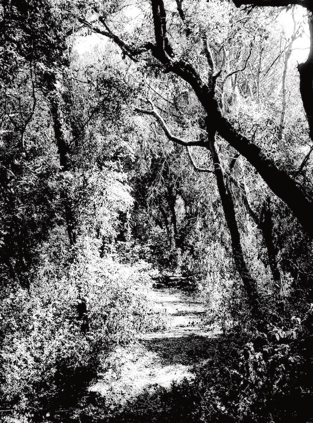 Pasolini’s Ostia for Another Man Winter/Spring 2026