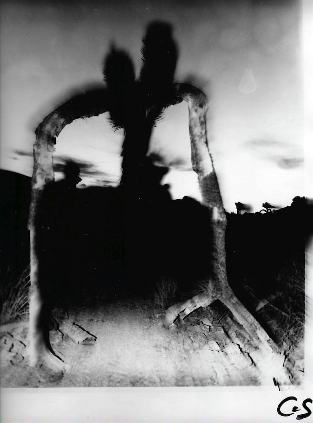 Libros ilustrados de Halloween