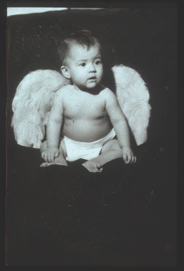 Out of Date: Pola Pan 1984-1996 by Mark Borthwick