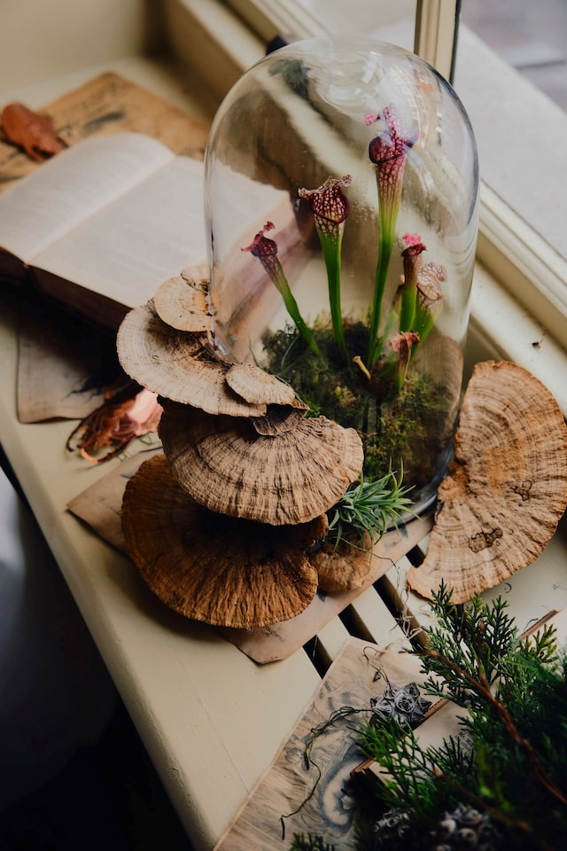 The Gilded Mischief by Giles Deacon