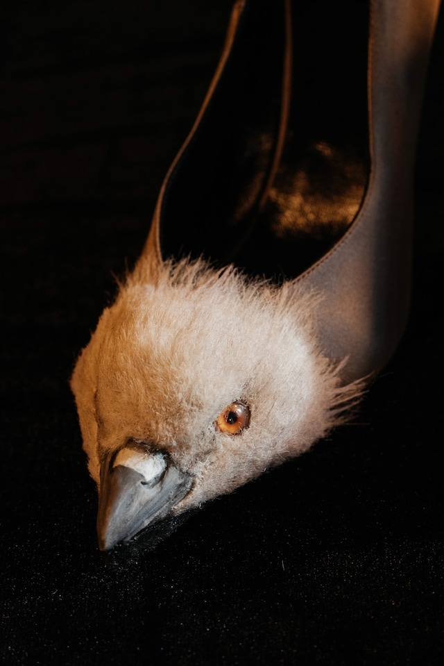 Schiaparelli Spring/Summer 2026 Haute Couture