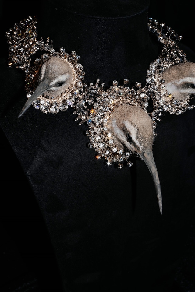 Schiaparelli Spring/Summer 2026 Haute Couture