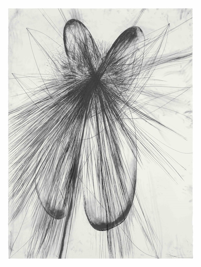 Atropa by Sterling Ruby Artist Garden Los Angeles