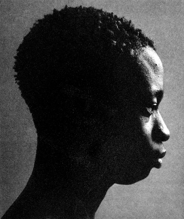 Retratos del 14 al 16 de noviembre por Jack Davison.