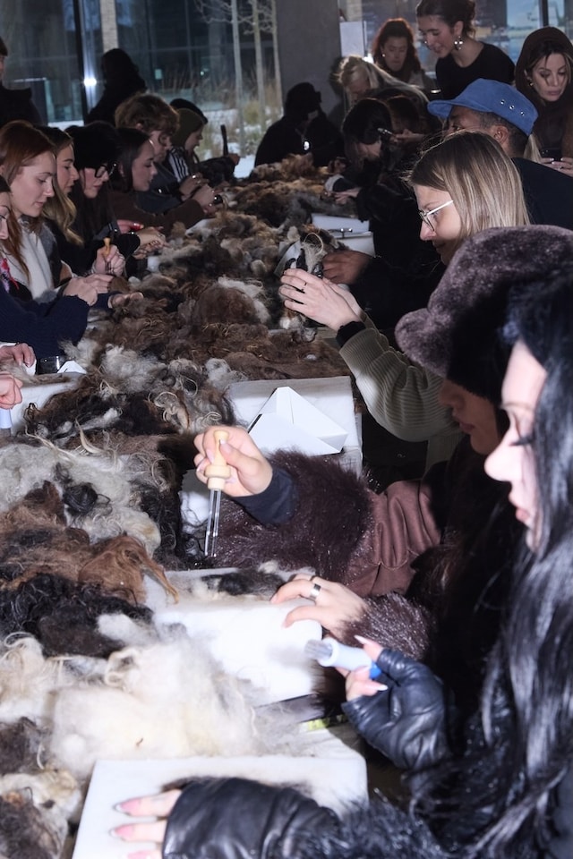 Stem Autumn/Winter 2026