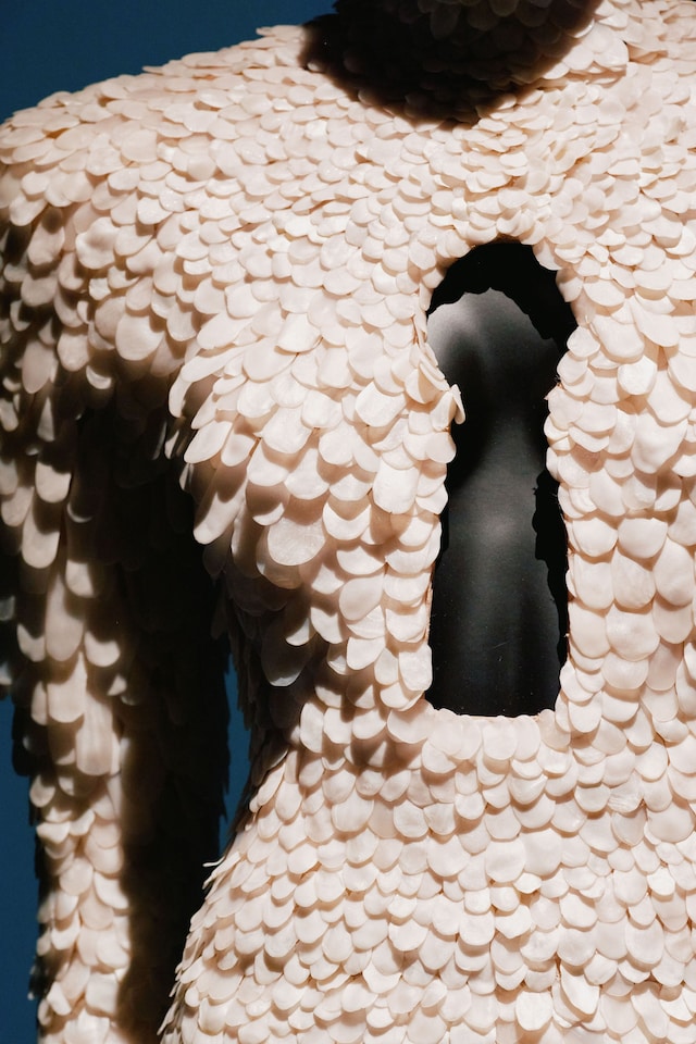 Schiaparelli: Fashion Becomes Art 