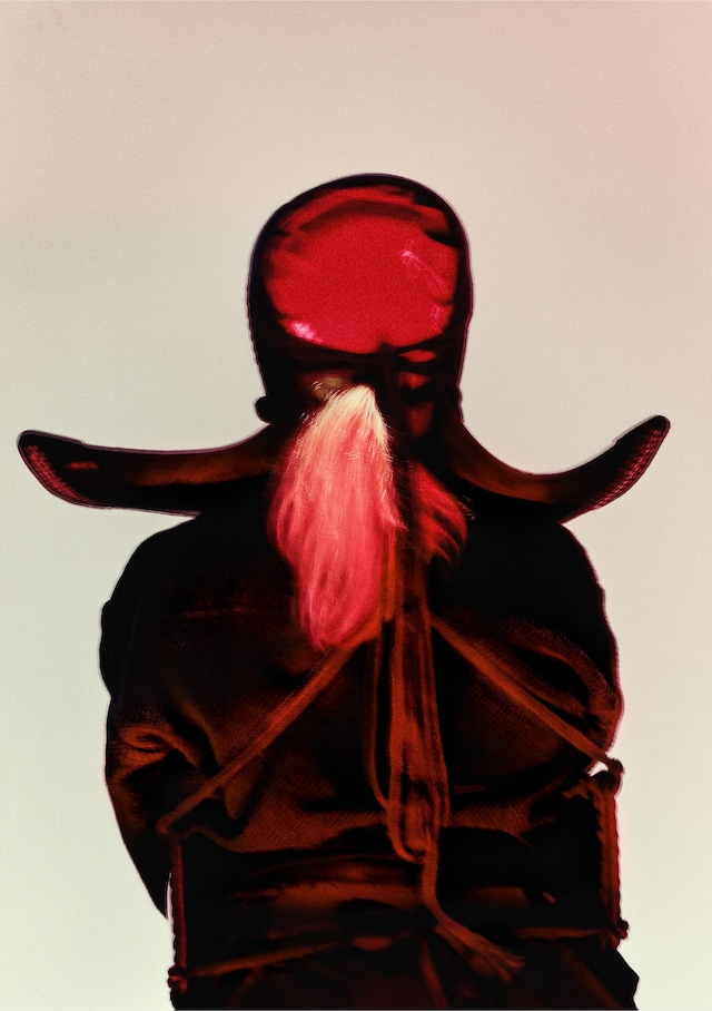 Red Patience by Josie Hall