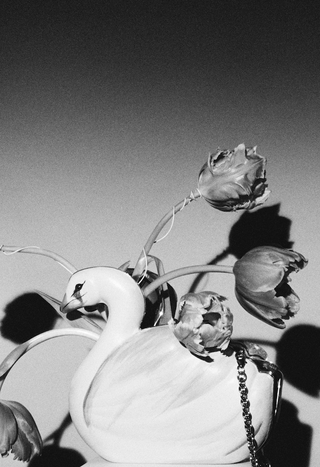 19_AN50_AL_Loves_CamilleVivier_19