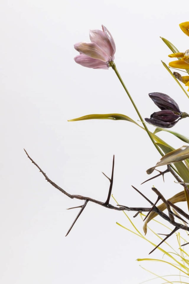 The Only True Protest is Beauty Dries Van Noten Fondazione