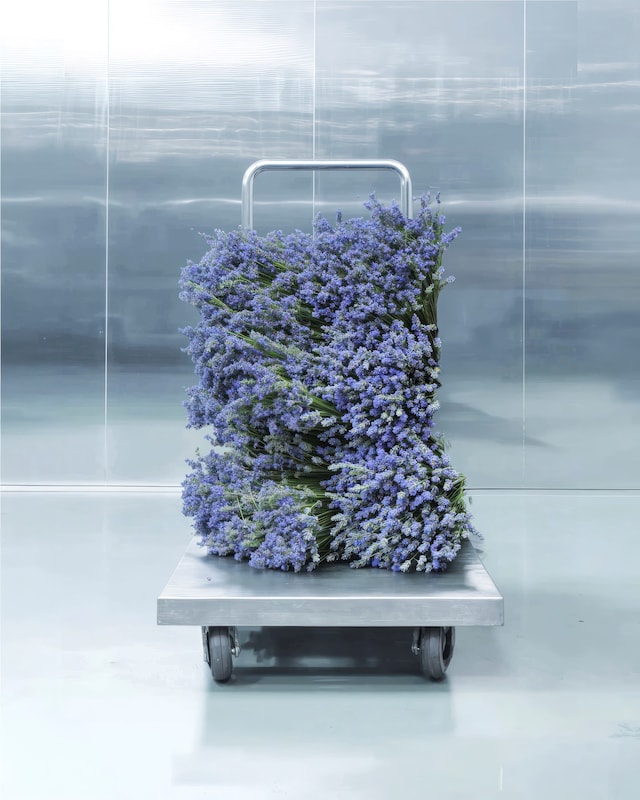 Matiere Premiere Metal Lavendar