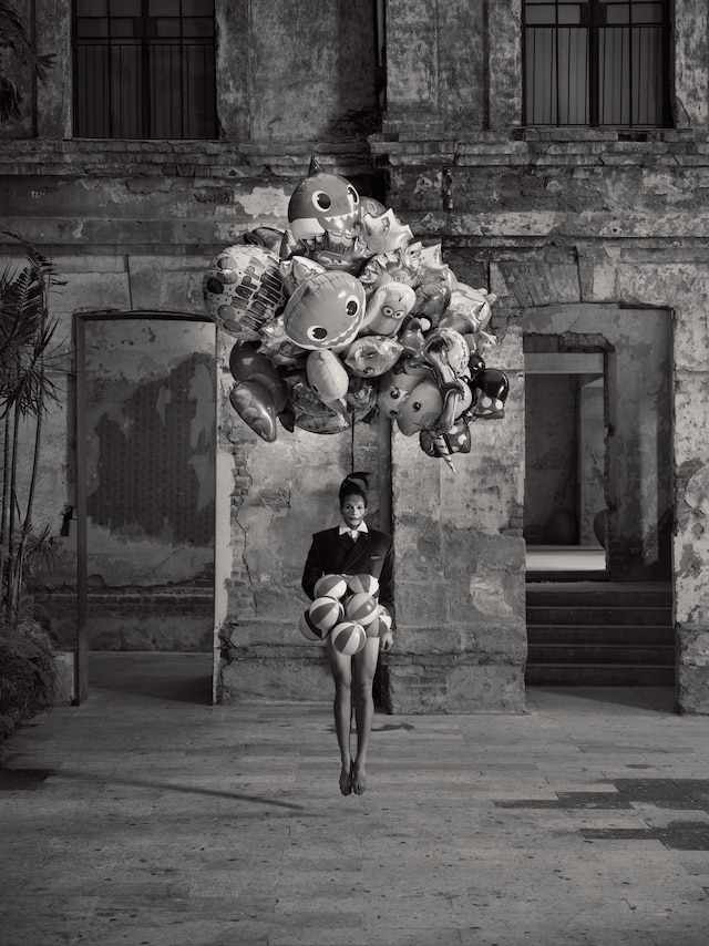Birds of Mexico City by Pieter Henket