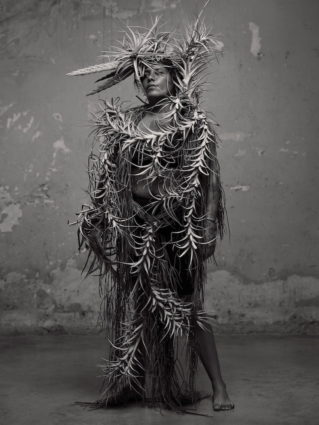 Birds of Mexico City by Pieter Henket