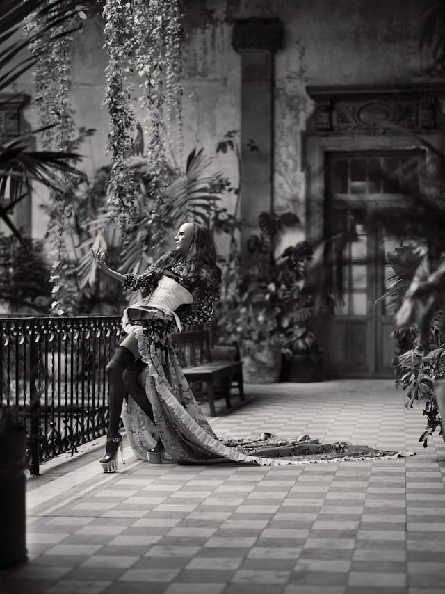 Birds of Mexico City by Pieter Henket