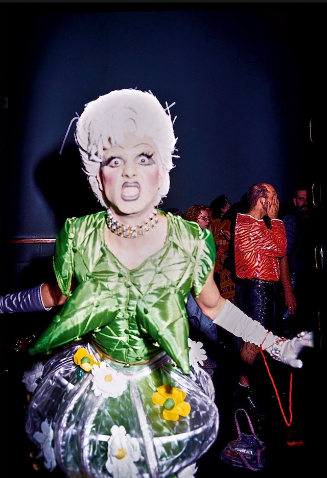 Sex, Clubs, Dissent: Visualising Queer Nightlife