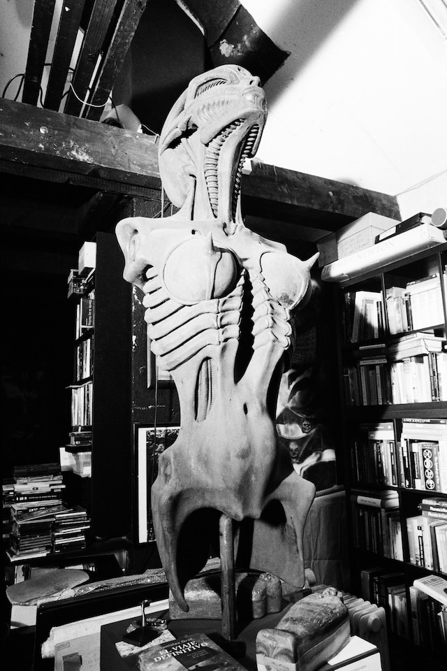 Camille Vivier, Biomechanoid (Carmen), 2022