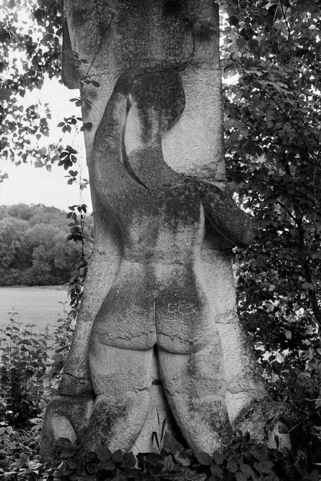 Camille Vivier, Chessy II, 2017