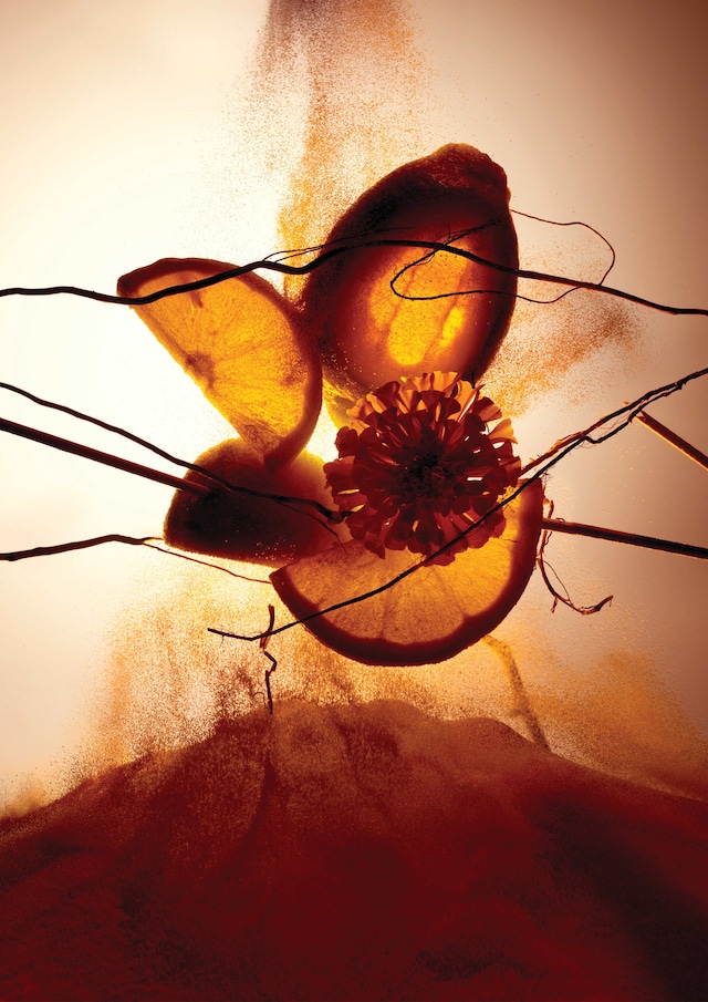 Bal d’Afrique: A Scent in Motion