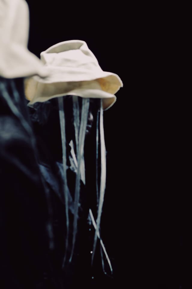 Comme des Garçons Homme Plus Spring/Summer 2027