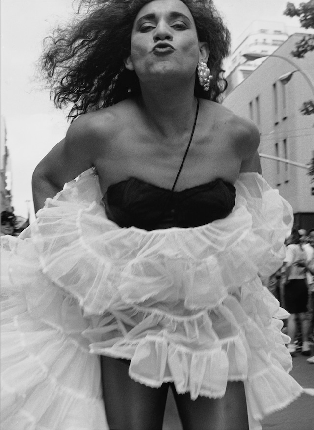 Archive/Journal: 1985-1995/2001 by Vincent Cianni