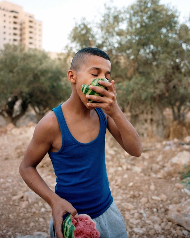 Adam Rouhana, A Lion's Watermelon (بطيخة أسد), 2022