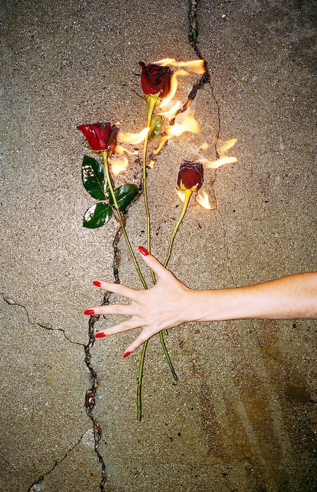 House of Love by Shelby Duncan