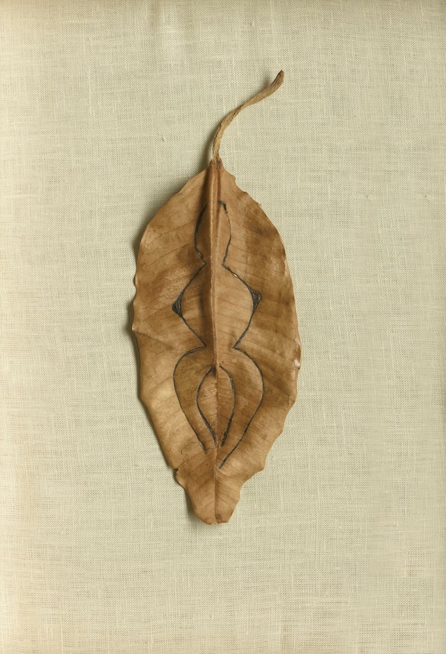 Ana Mendieta at Tate Modern