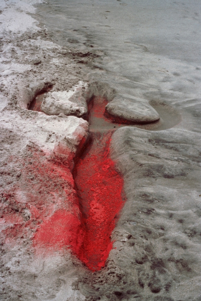 Ana Mendieta at Tate Modern