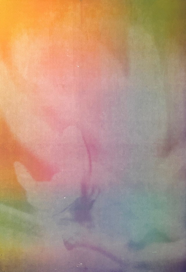 Soli-Sombre by Pooya Abbasian