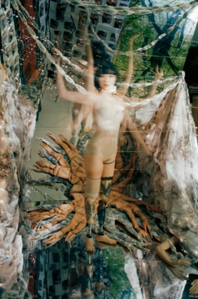 Mari Katayama, Tree of Life #012, 2025