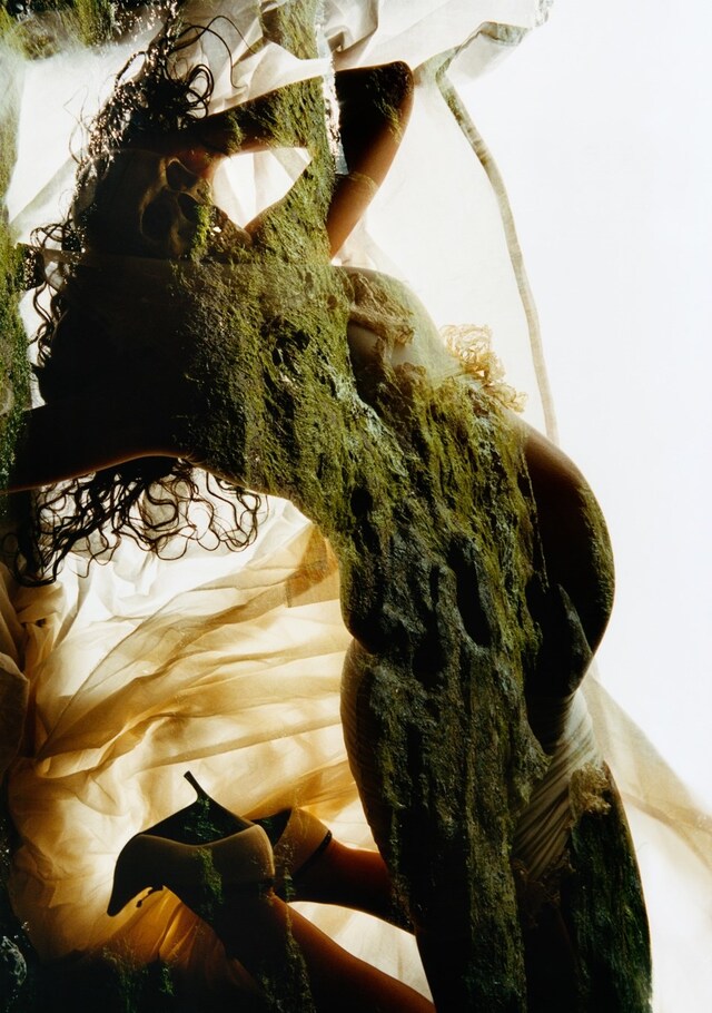 Harley Weir for AnOther Magazine Autumn/Winter 2026 Art Proj