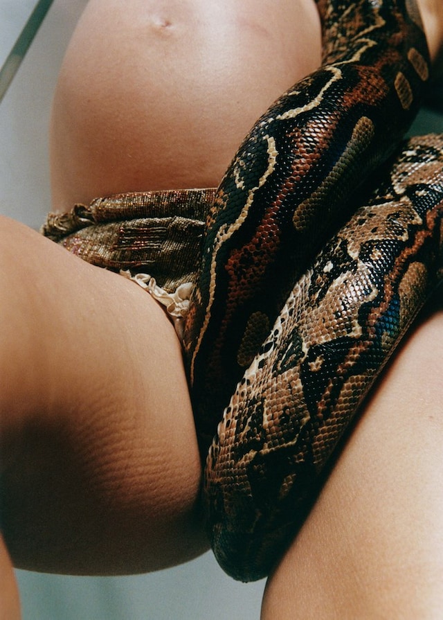 Harley Weir for AnOther Magazine Autumn/Winter 2026 Art Proj