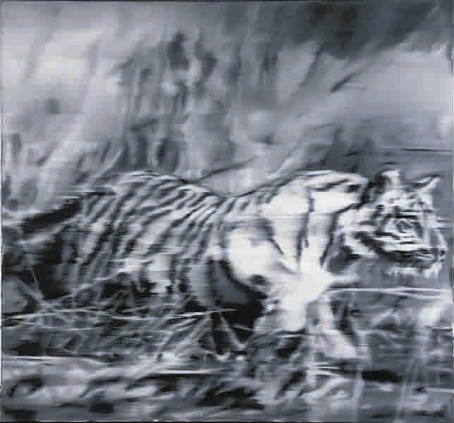 Tiger, 1965
