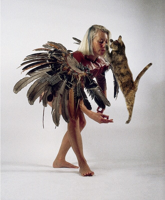 Image from Dancing with Cats by Burton Silver