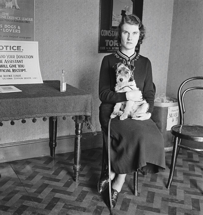 In the waiting room at the dog hospital, 1935