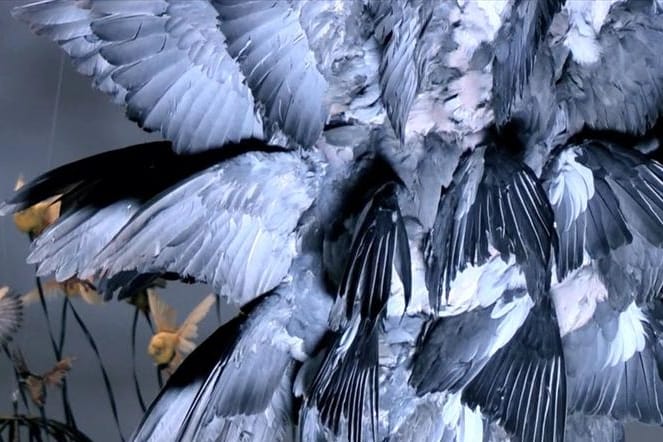 Polly Taxidermy Artist AnOther