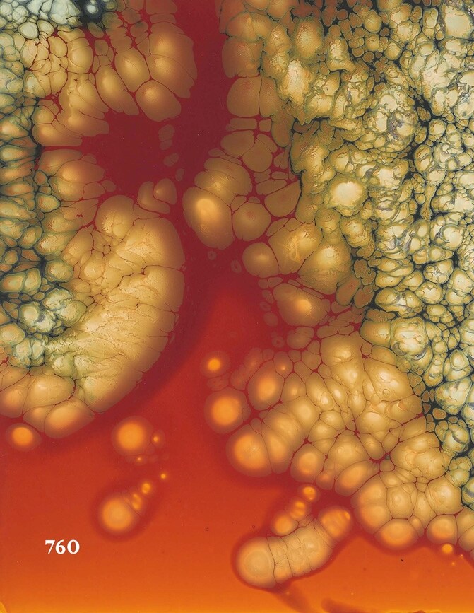 Taken from the Nature Paintings series by Keith Tyson, 2008 